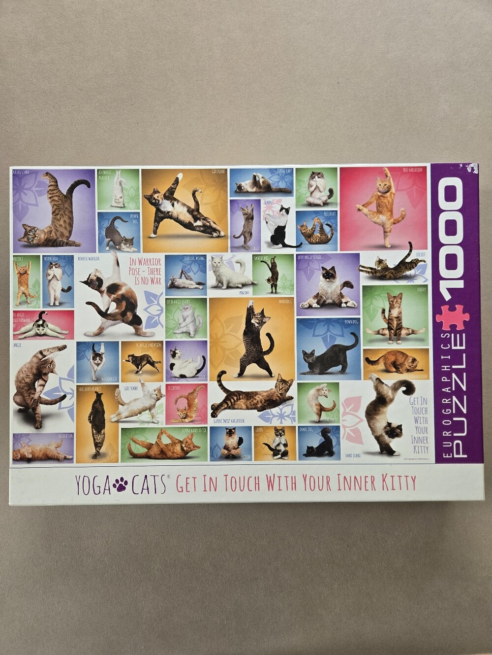 Eurographics "Yoga Cats" 1000 Piece Puzzle